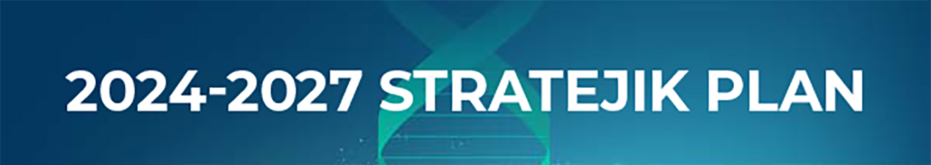 Strategic plan 2024-2027